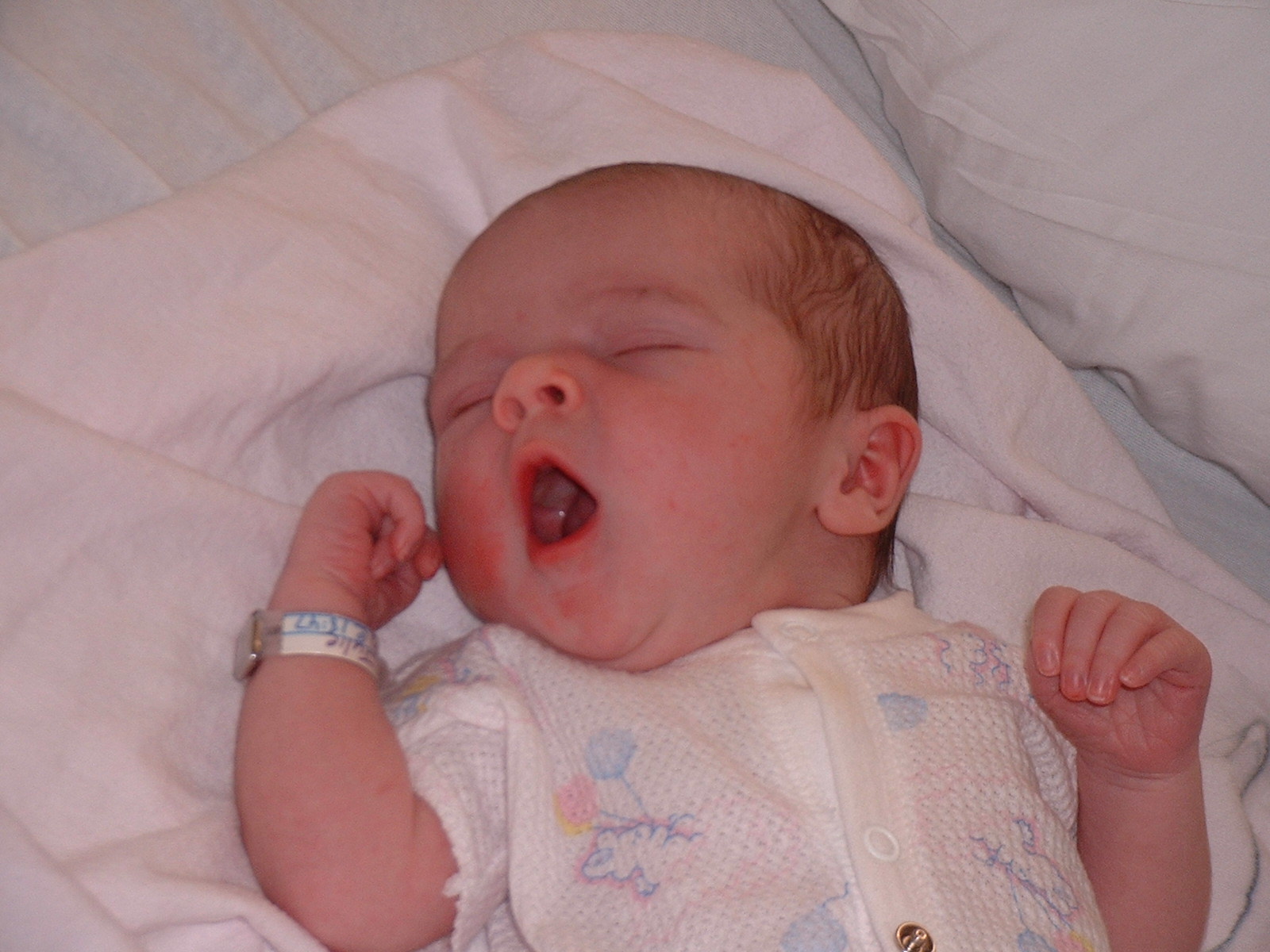 yawn.jpg